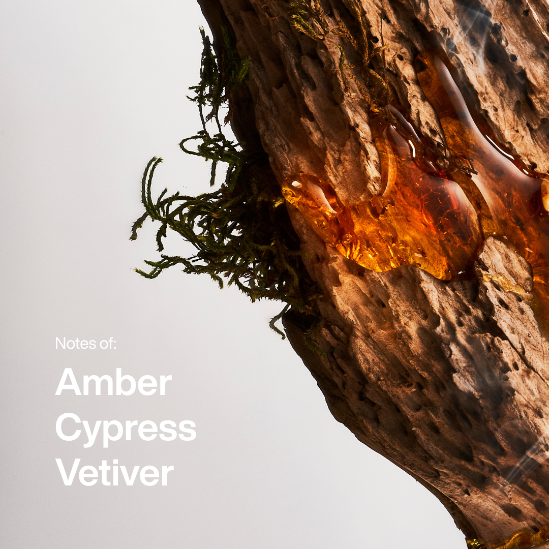 Amber & Vetiver EDT Fragrance Spray 50ml, mens gifts, Christmas Gifts