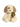 Ebba Eco Toddy Dog Luvster