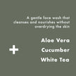 Sensitive Face Wash 125ml, Mens Cleanser, Facewash for Men