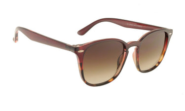 Cooper Wayfarer Style Sunglasses In Burgundy