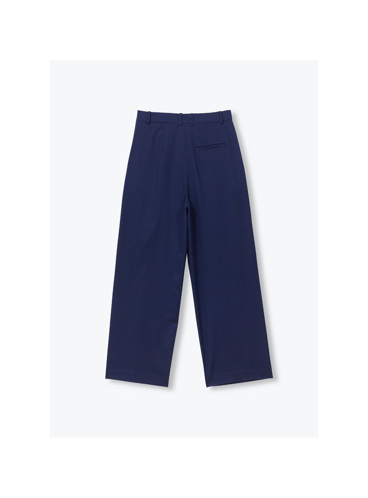 Women's Pleated Trousers